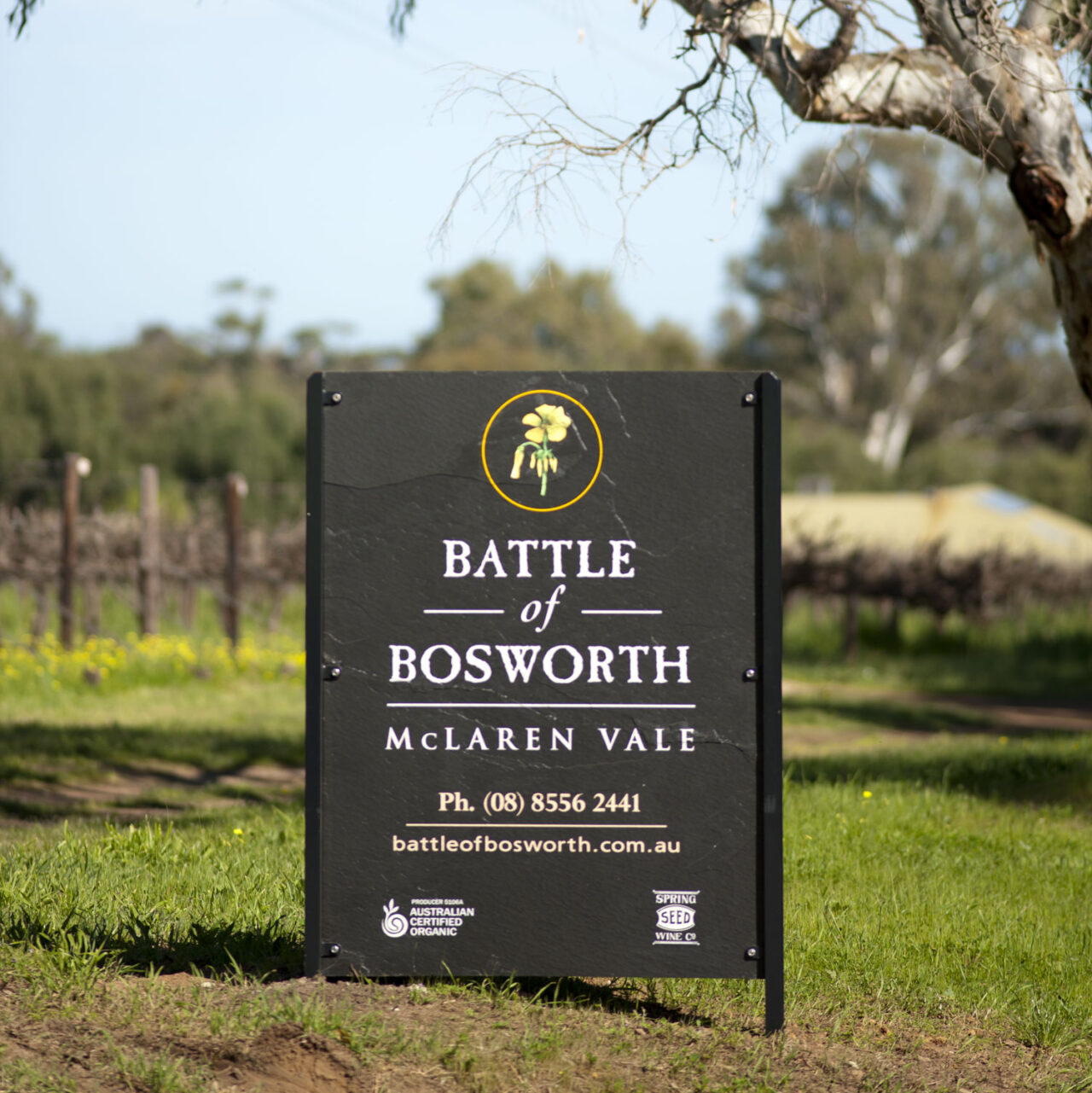 Bosworth Wines